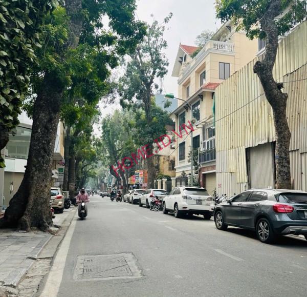Ban nha mat pho Ly Nam De Hoan Kiem 44m4T, 2 mat thoang, kinh doanh dinh